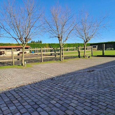 B&B 'T Hannonshof Nieuwpoort Dış mekan fotoğraf