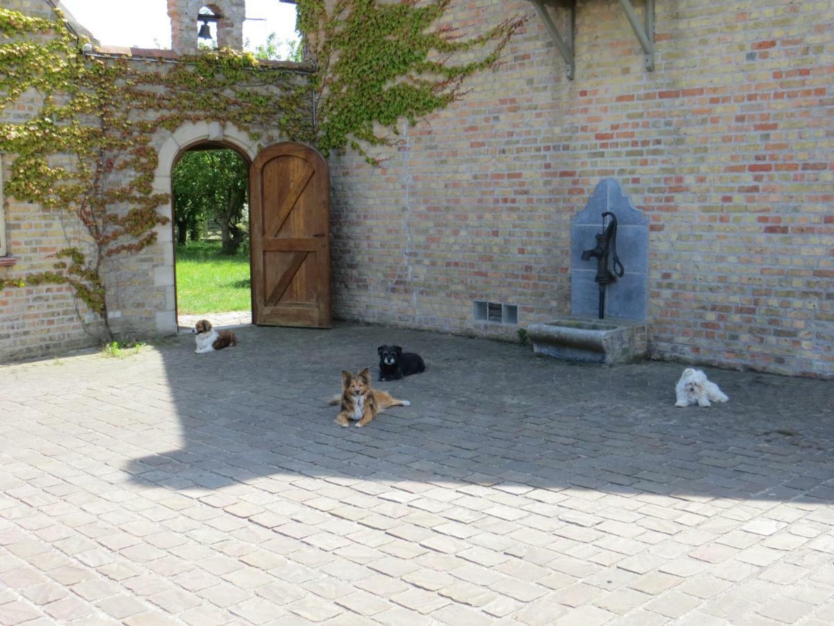 B&B 'T Hannonshof Nieuwpoort Dış mekan fotoğraf